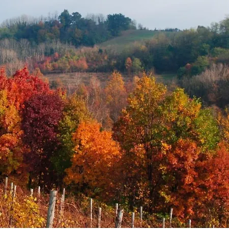 Holiday home Antica Dimora Monleale